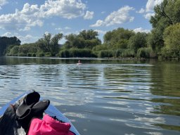 Mainschwimmen Juni 2026